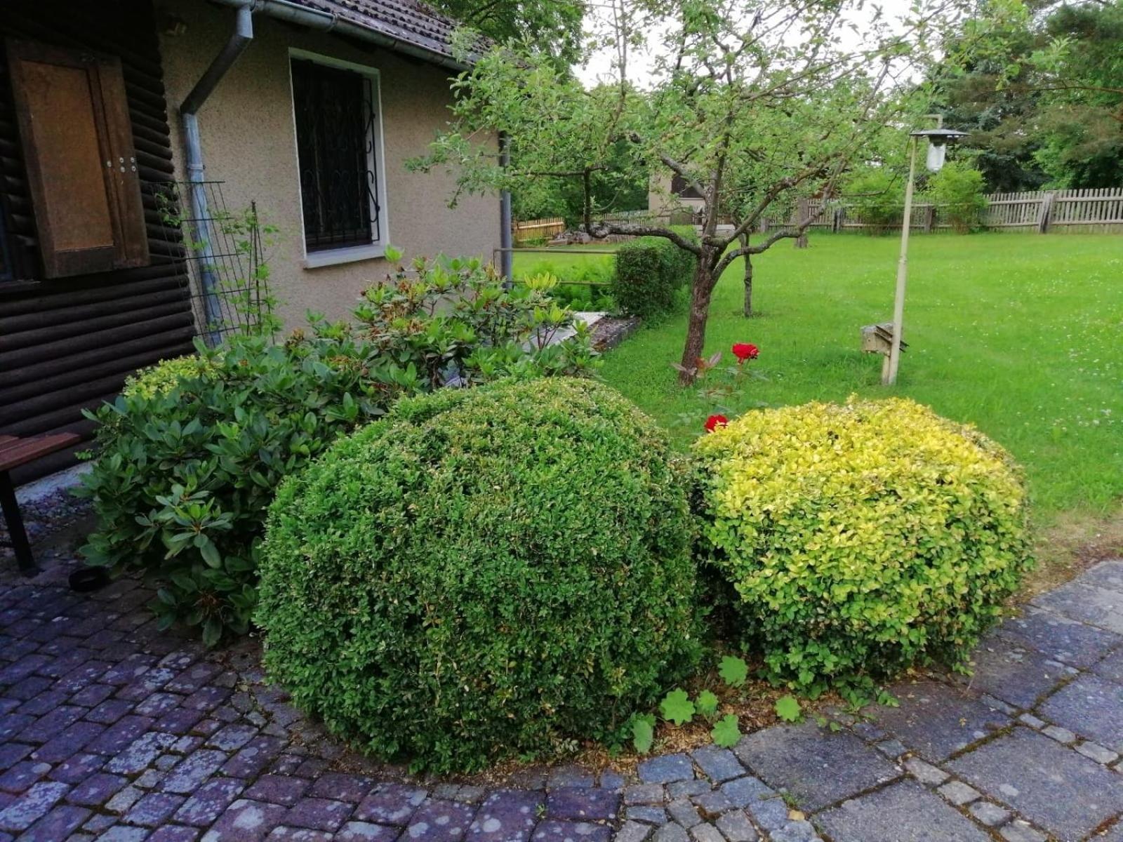 Hasenecke Vila Bad Salzungen Exterior foto